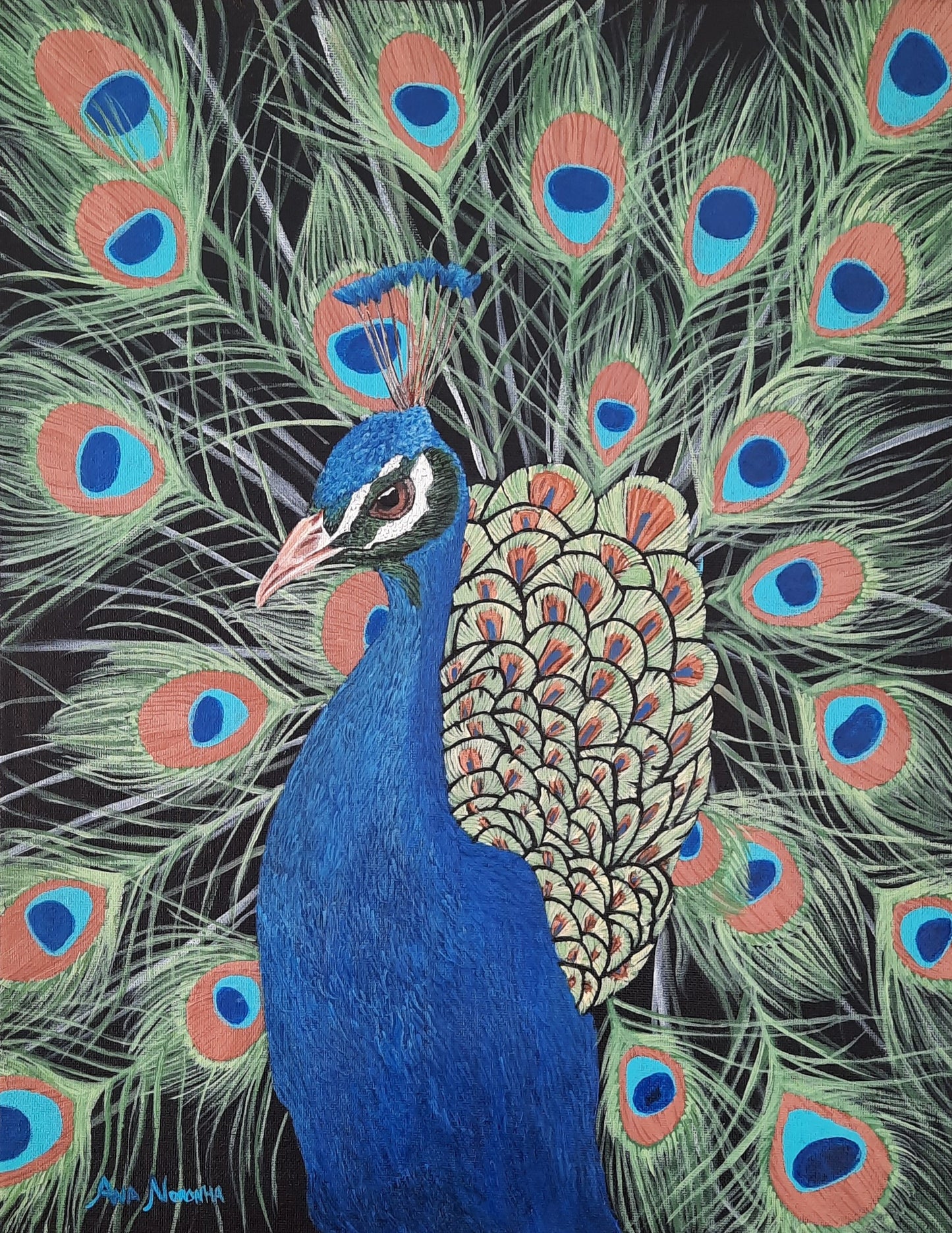 Peacock