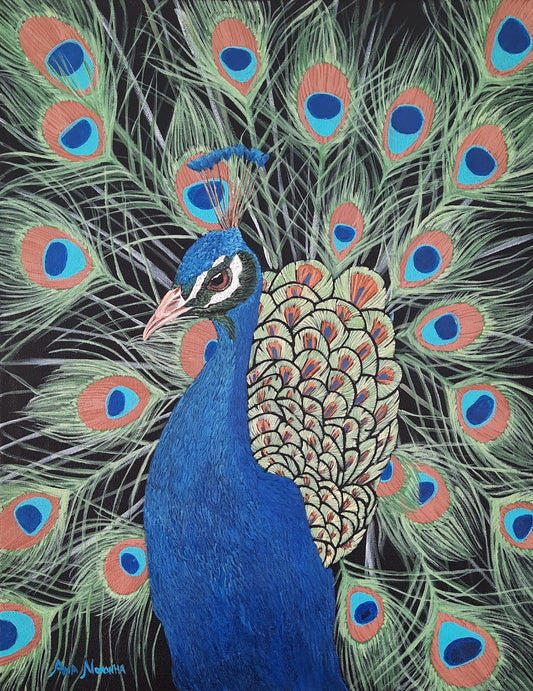Peacock
