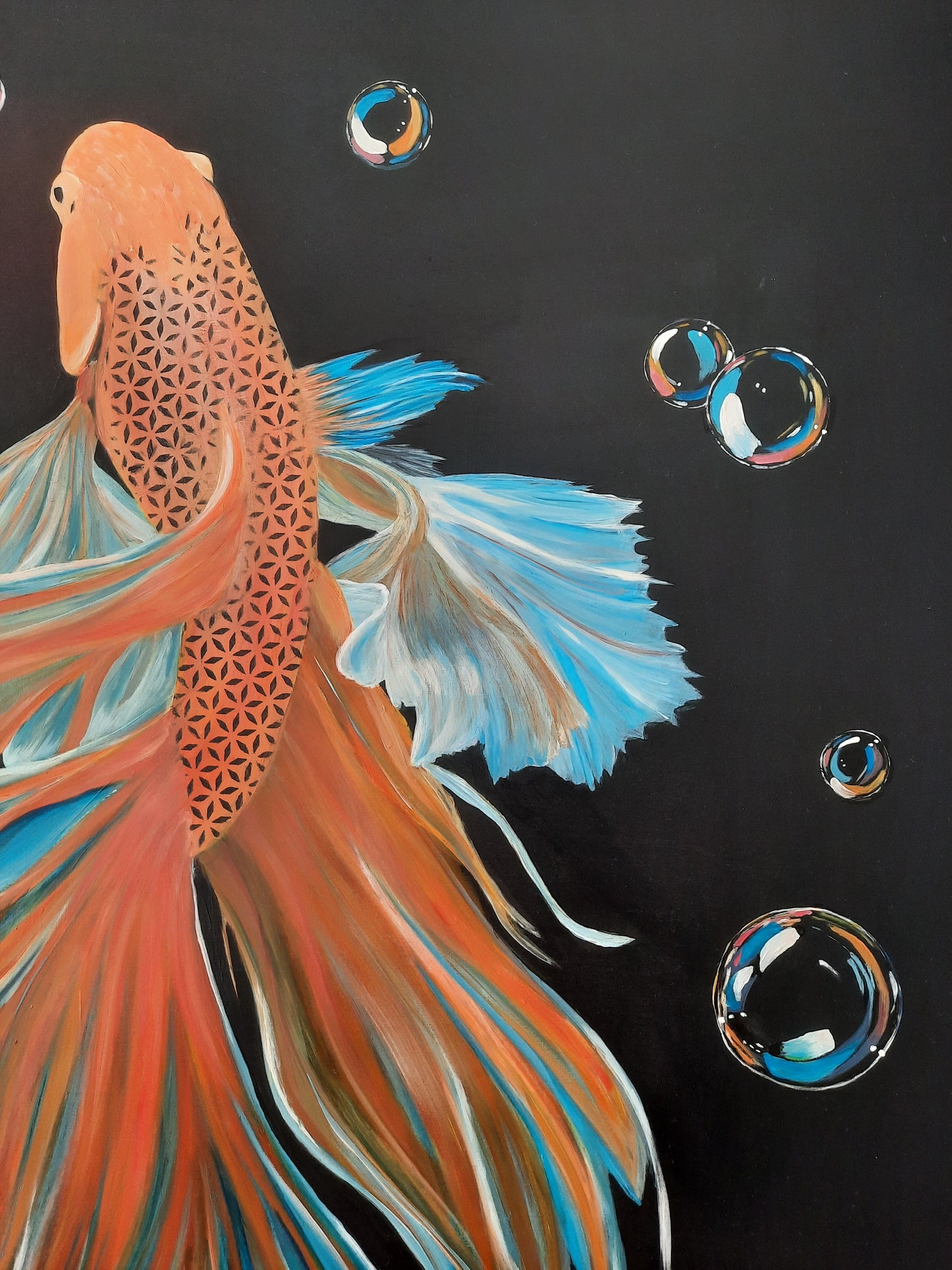 Betta Bubbles