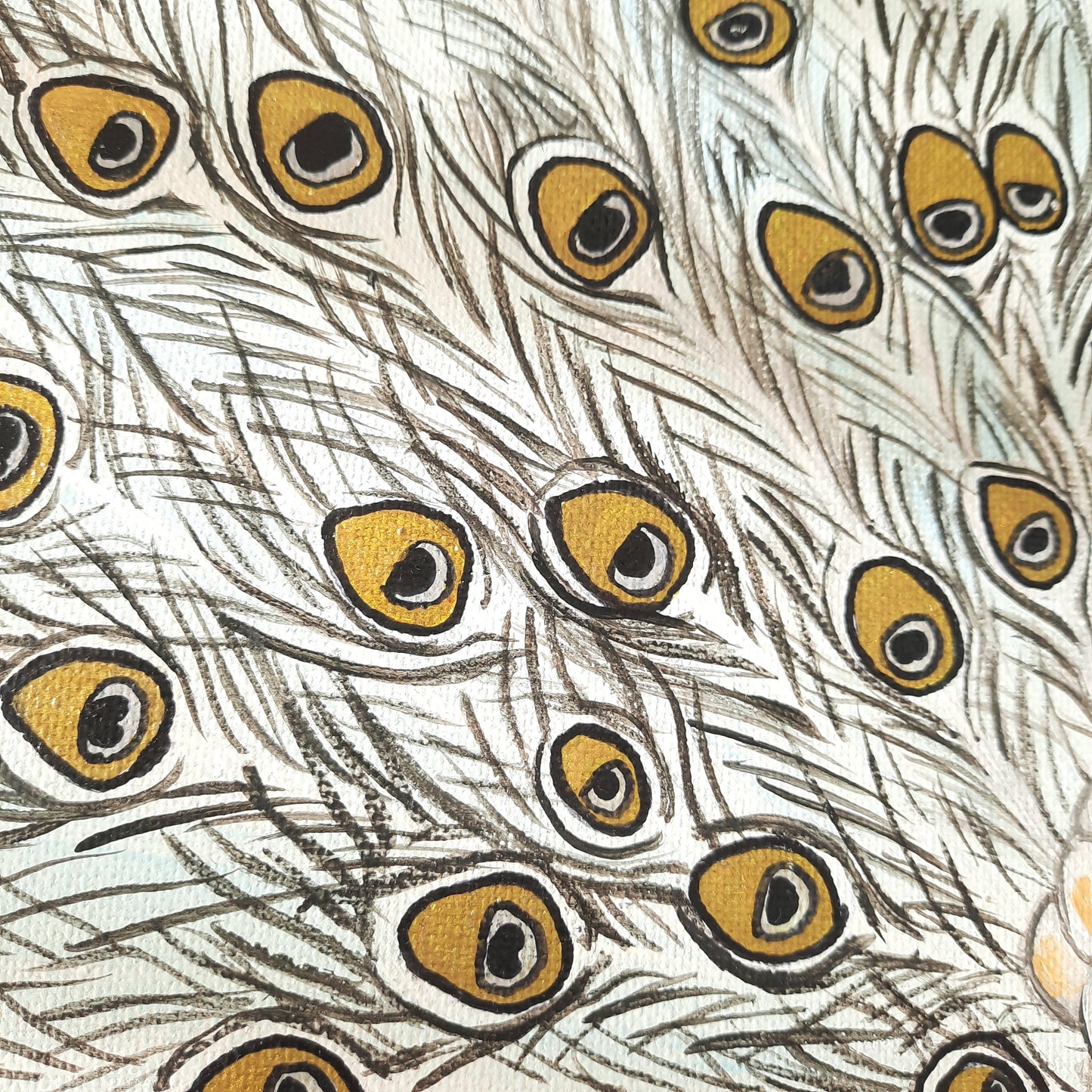 Golden Peacock