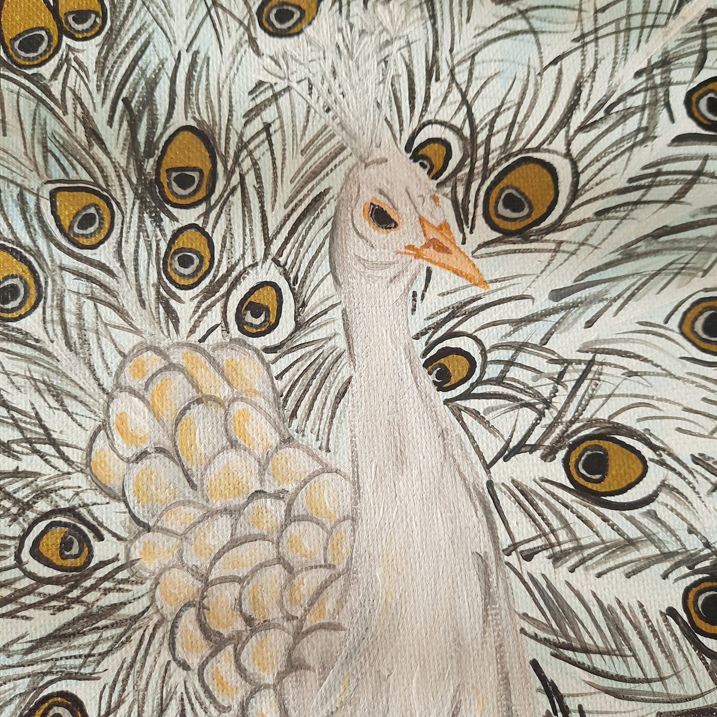 Golden Peacock