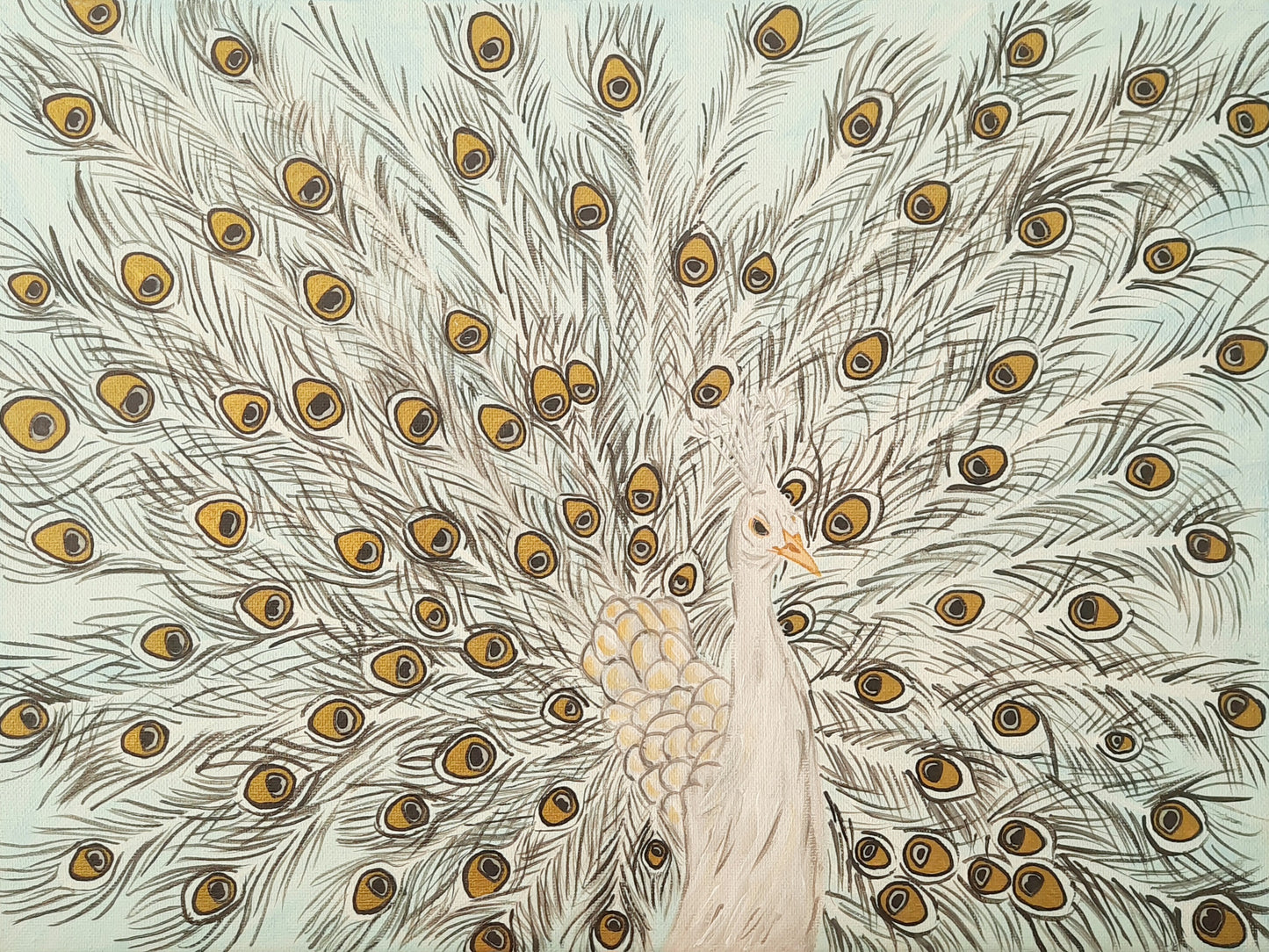 Golden Peacock