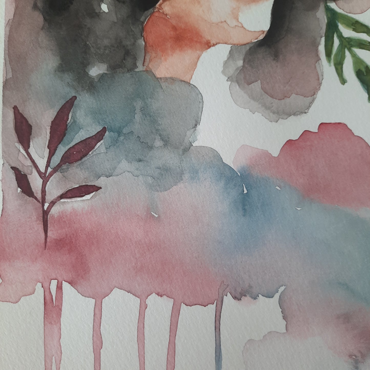 Echoes of the Tropics