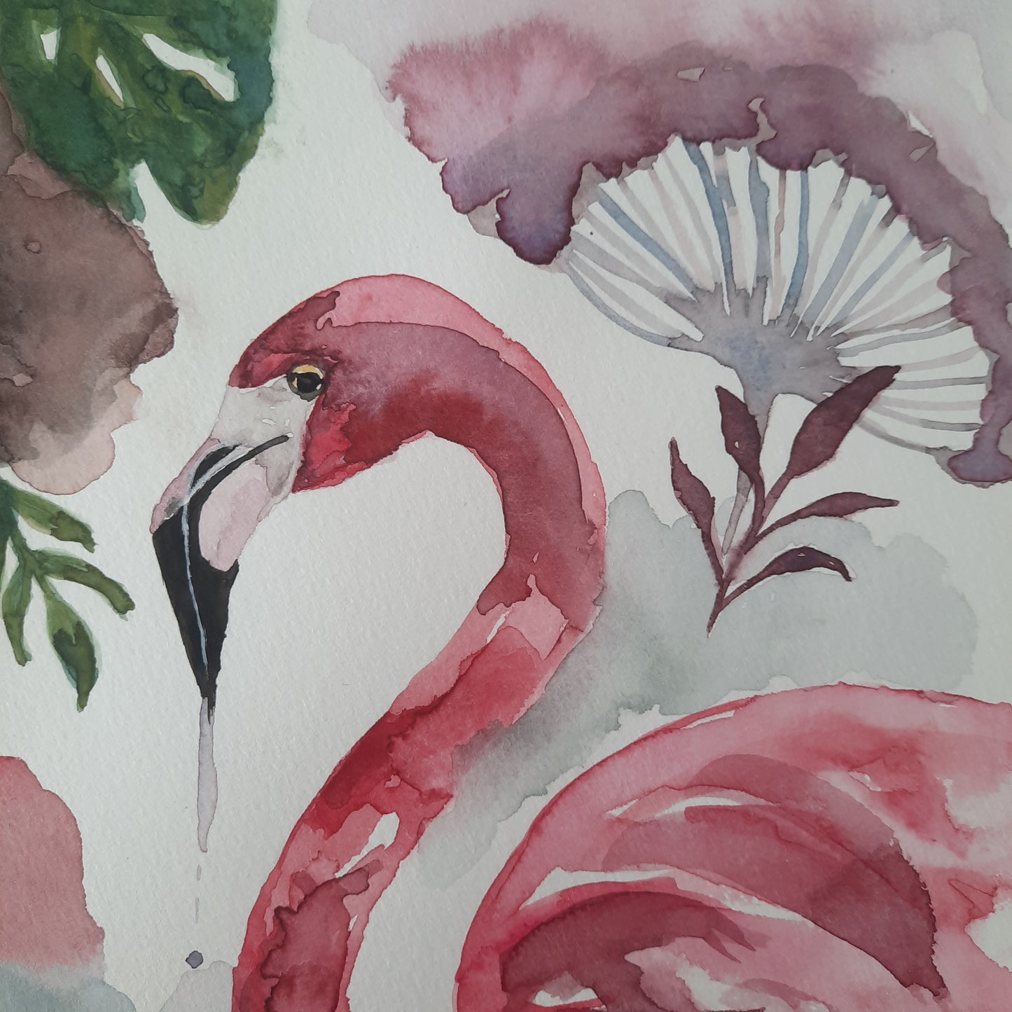 Echoes of the Tropics