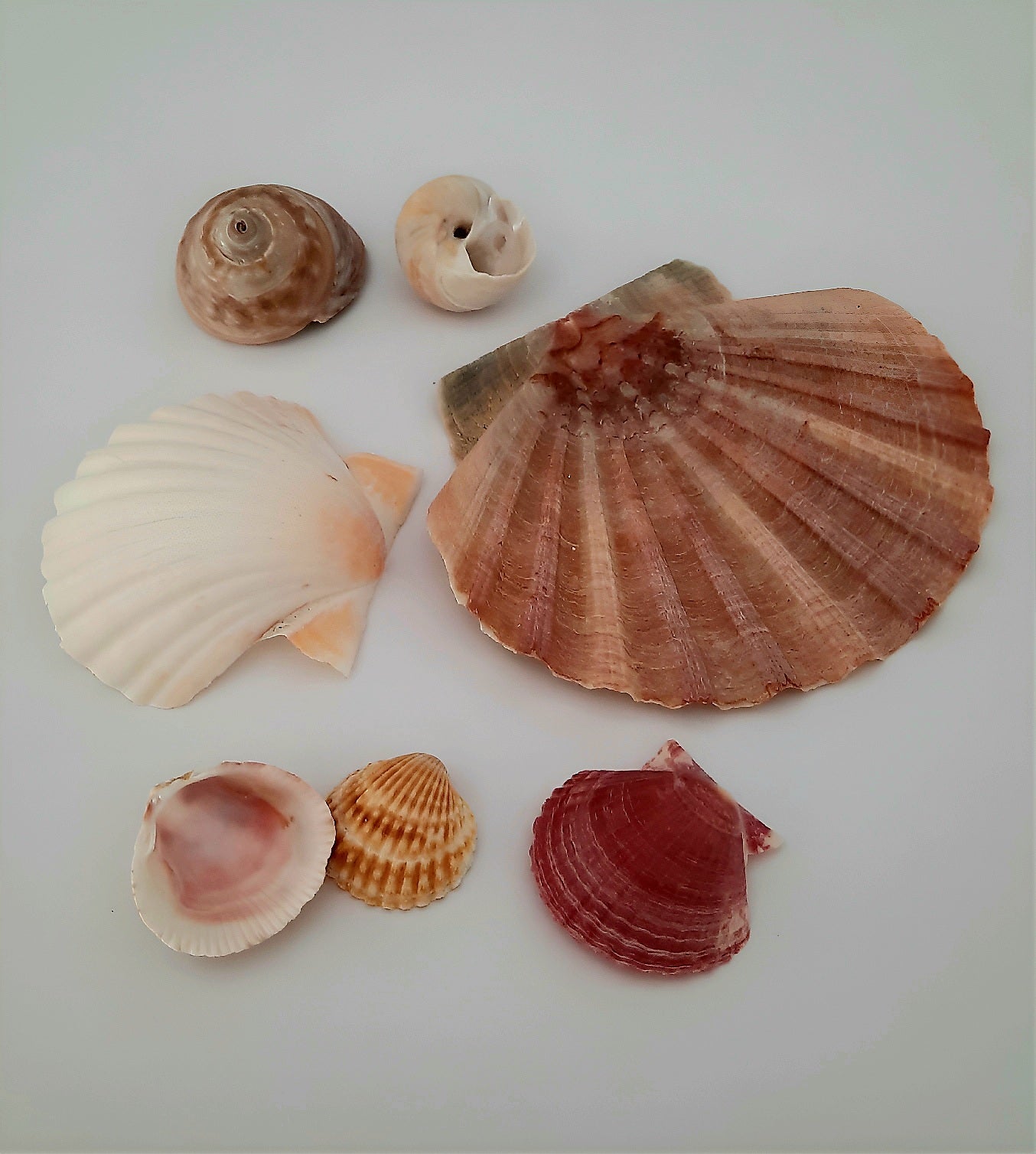 Nature's Jewels